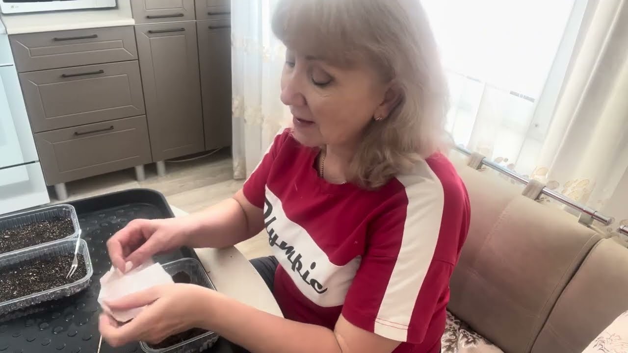 Навела порядок// Посадила цветы// 🌷 