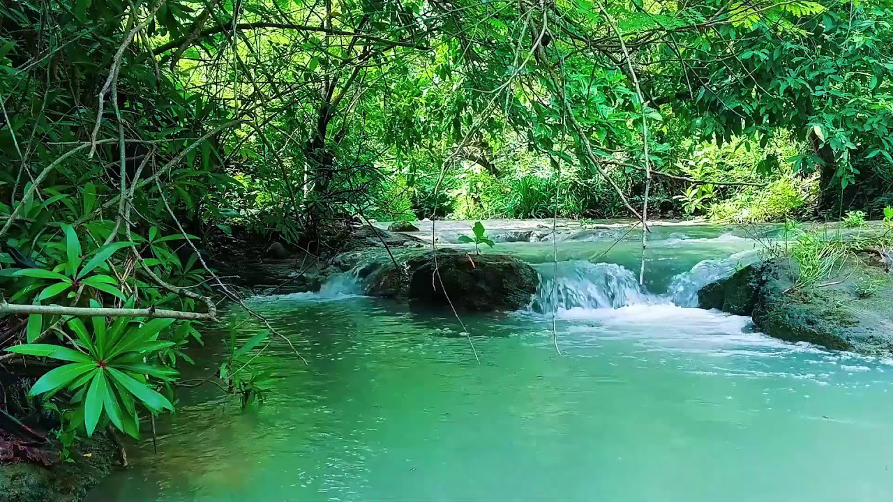 Waterfall Sounds for Relaxing – Mental Detox with Soothing Water