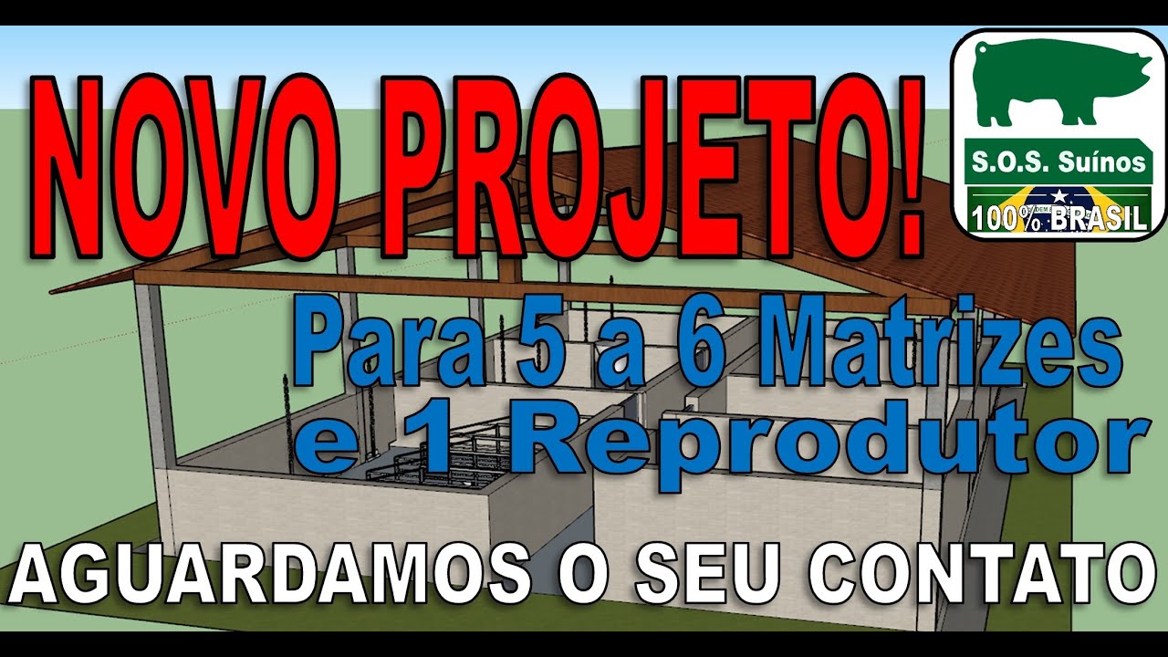 NOVO PROJETO SUINOCULTURA - SOS SUINOS - Projeto para 5 a 6 Matrizes e 1 Reprodutor.