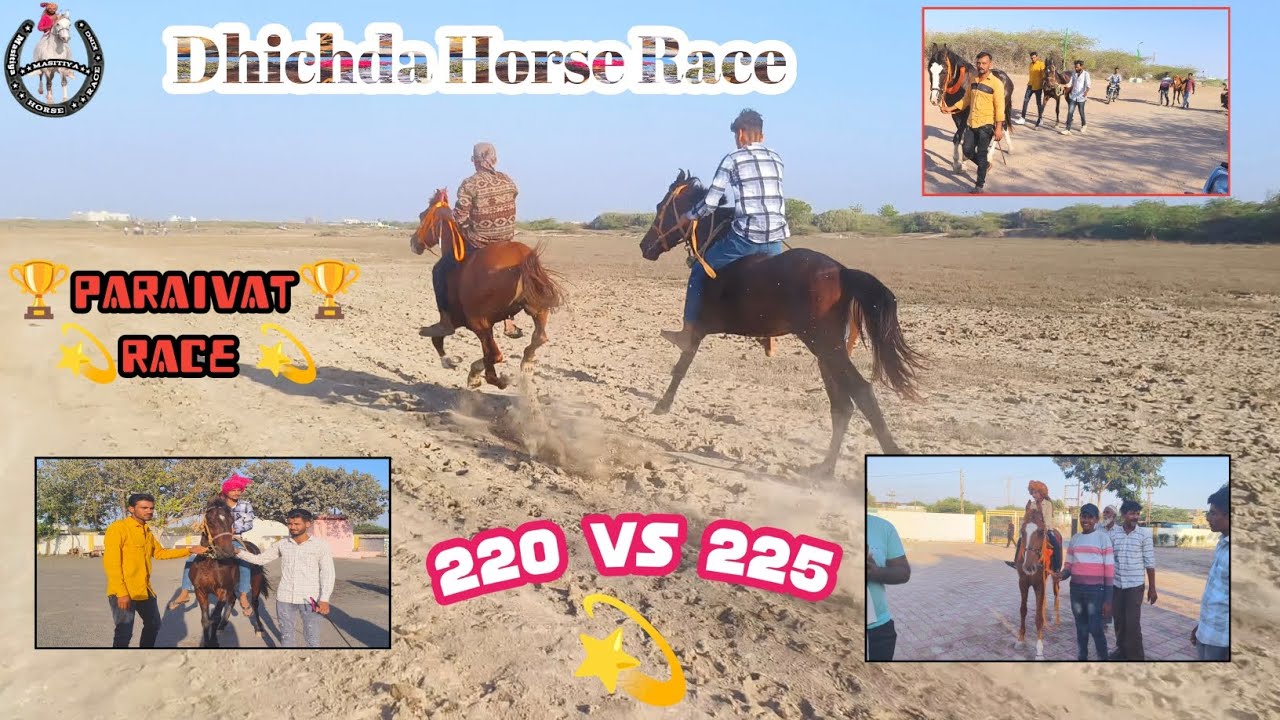 || Dhichda Horse Race 💫|| तीनों घोड़ों की सुपरहित रेस||220 vs 225 vs 222  || jamnagar  Gujarat