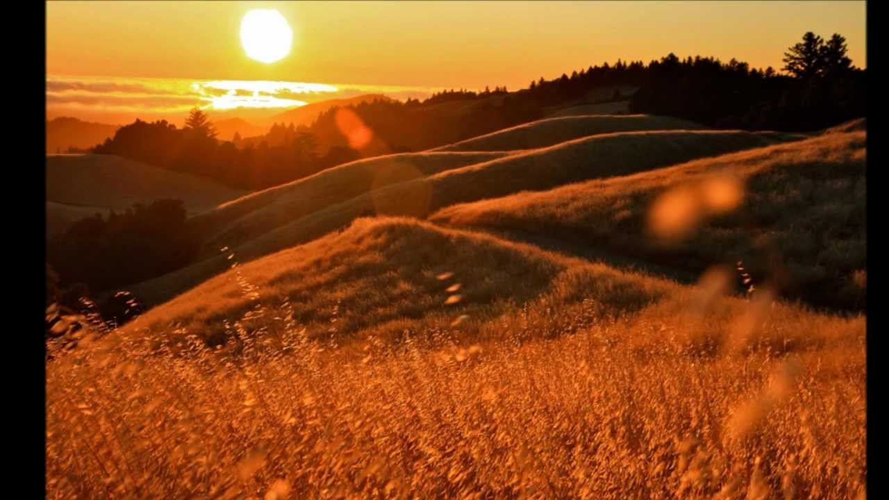 Gladiator OST -  Elysium, Honor Him & Now We Are Free