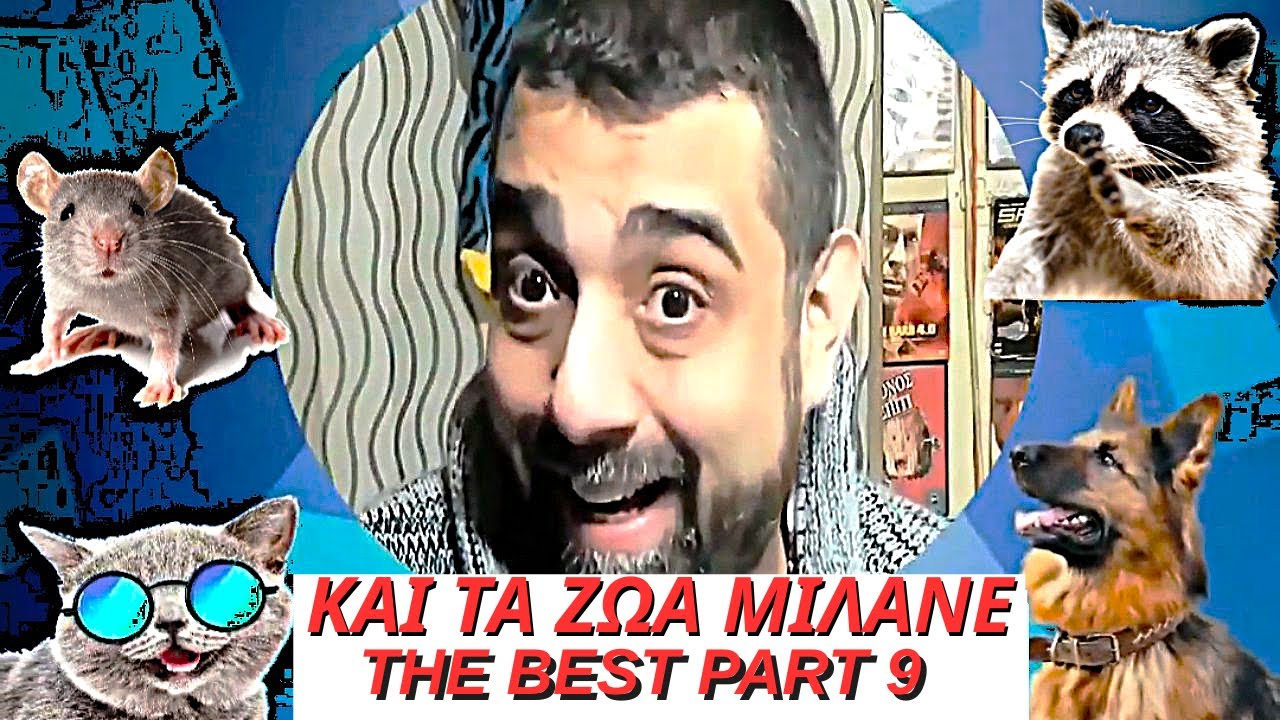 ΚΑΙ ΤΑ ΖΩΑ ΜΙΛΑΝΕ ❤️ THE BEST PART 9