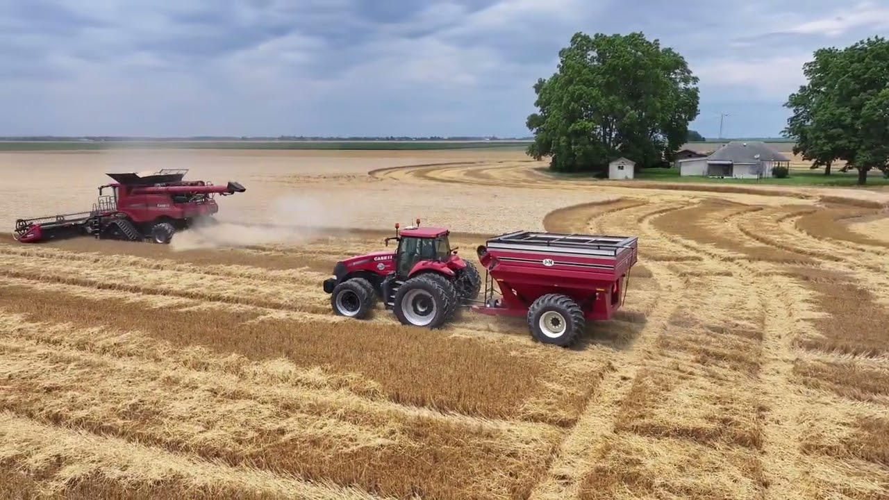 2024 Wheat Harvest