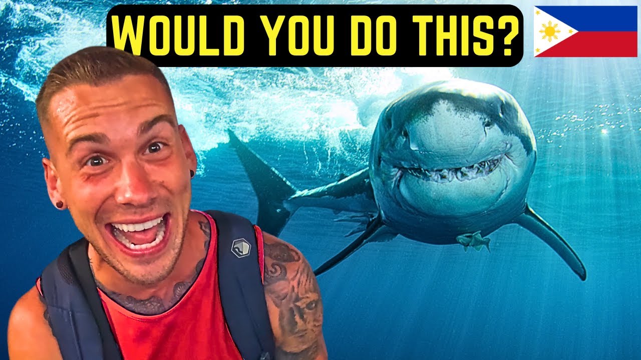 Swimming with Deadly Sharks! Philippines 🇵🇭