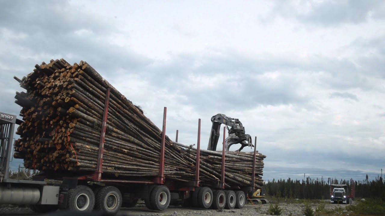 Foresterie au nord du Québec