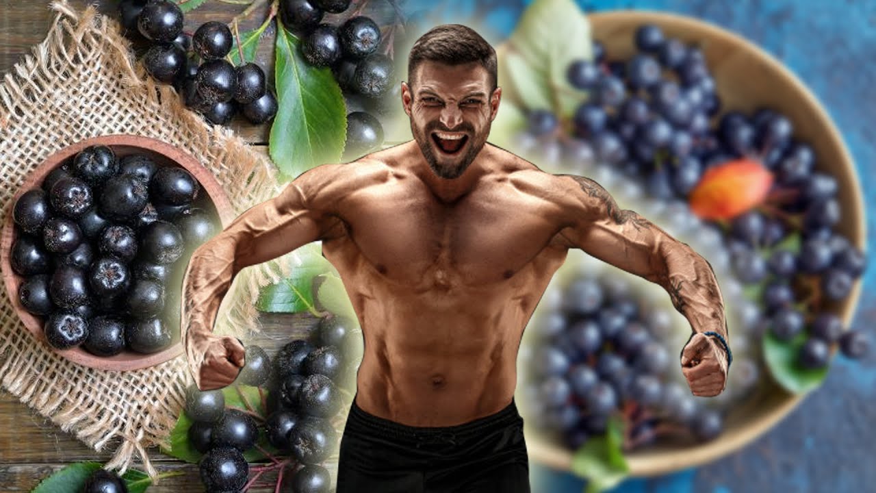 Aronia Berry 5 Benefits That You Didn&rsquo;t Know About