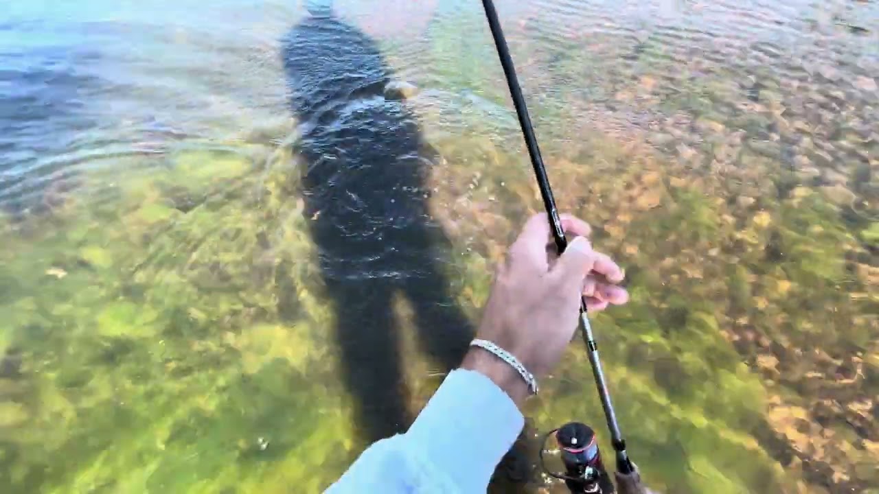 Pesca 🎣 