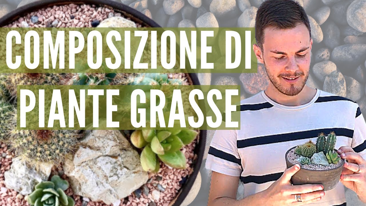 COMPOSIZIONI DI PIANTE GRASSE: tutti i segreti