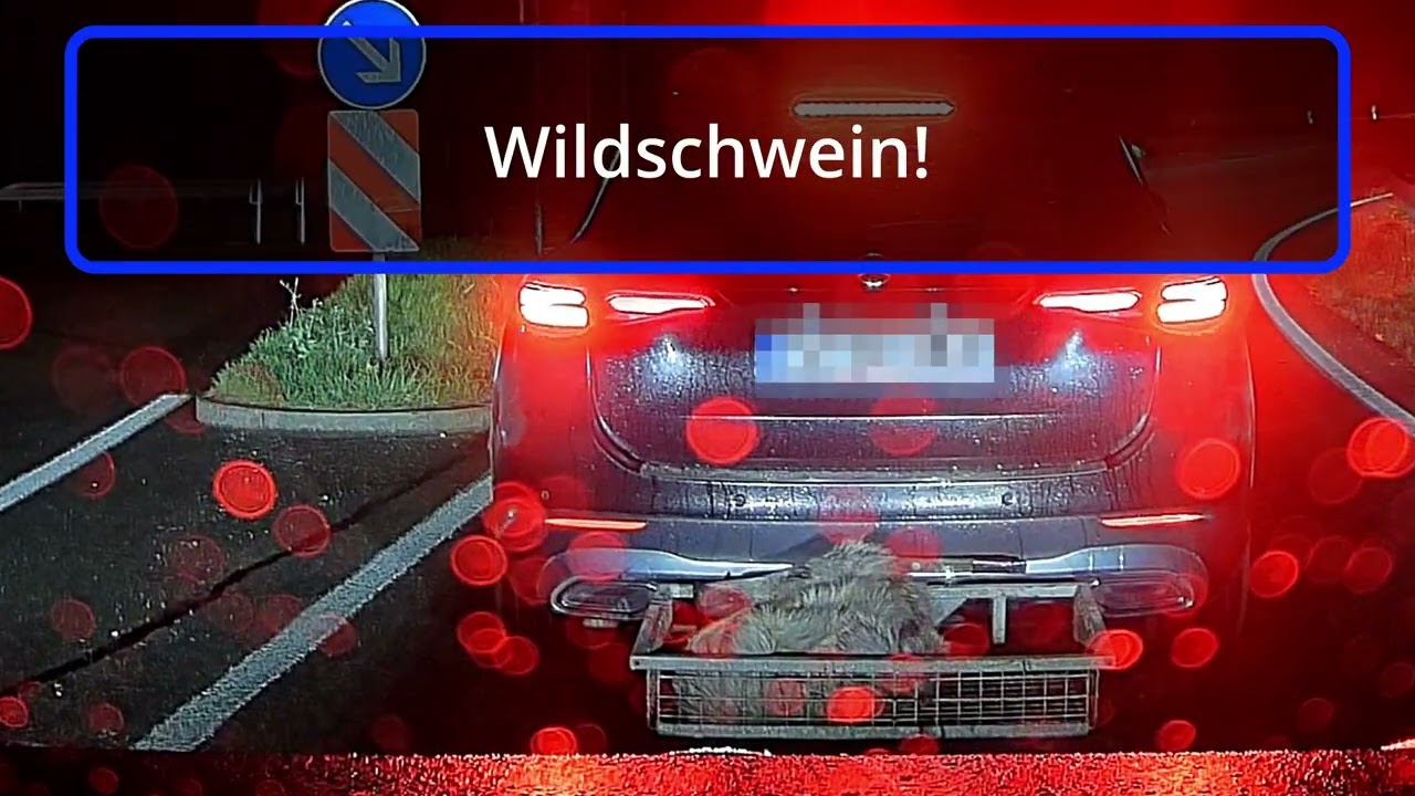 Dashcam Tagebuch 014 - Unfälle