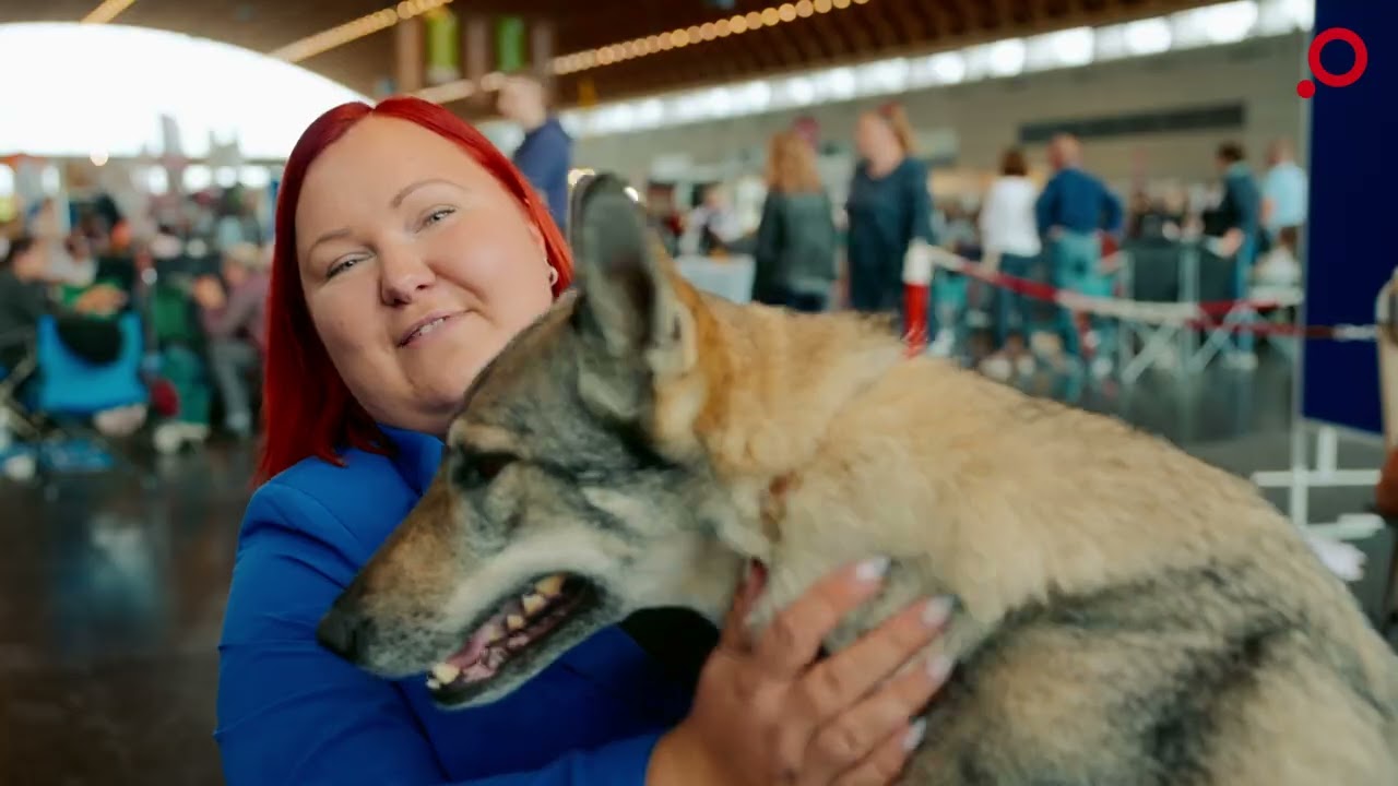 Internationale RasseHundeAusstellung Rostock