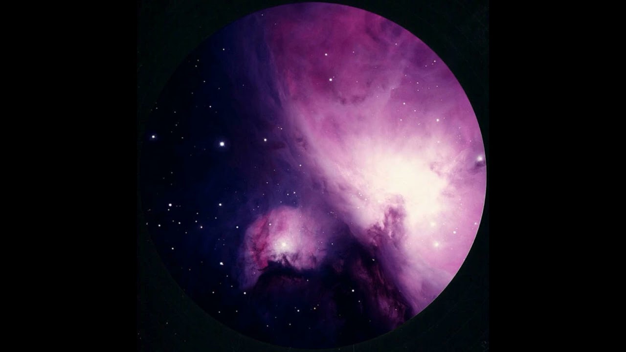 Niko Maxen - Cygnus