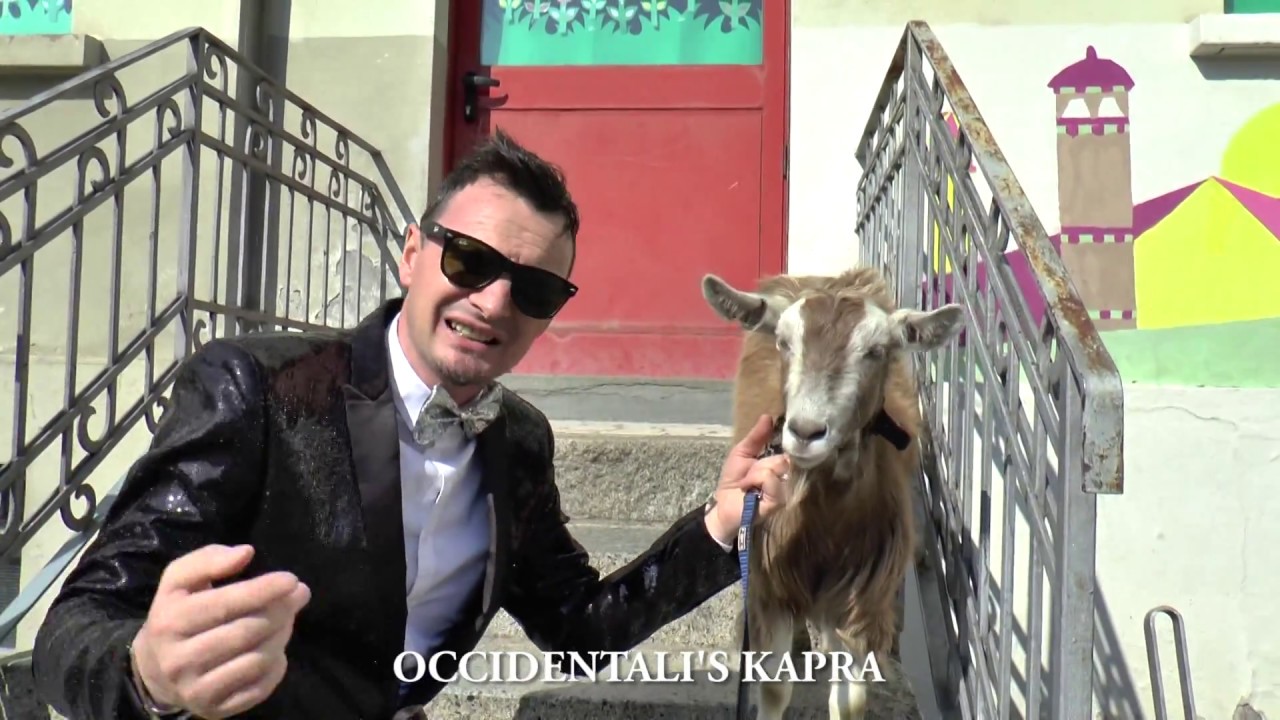 Occidentali's Karma - Parodia - Occidentali's Kapra - Alberto Dimensione Musica