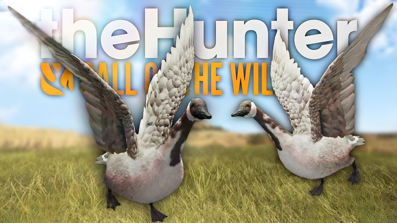 A INSANA CA&Ccedil;ADA AO GANSO M&Eacute;DIA! (DEU MUITO TRABALHO) - The Hunter Call Of The Wild