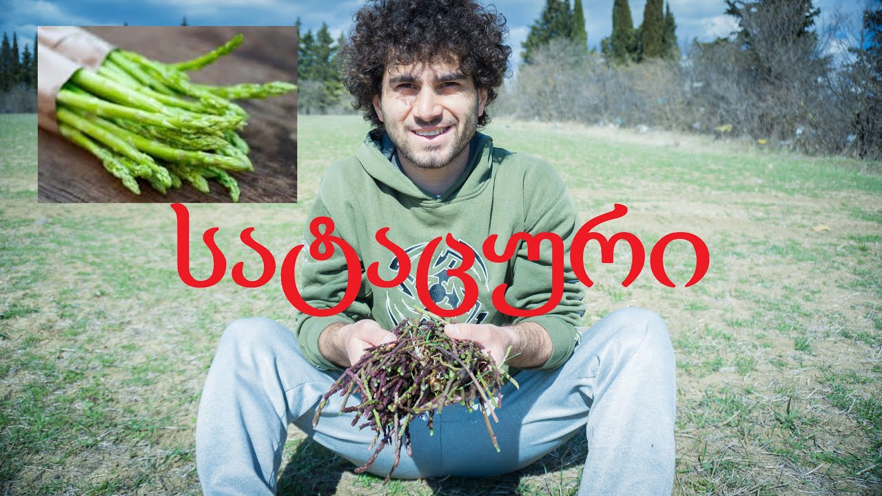 გემრიელი სატაცური და გასეირნება ბუნებაში