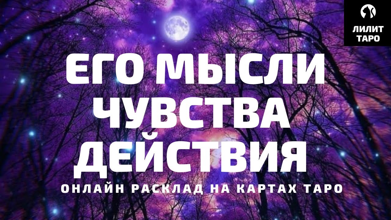 4 КОРОЛЯ: МЫСЛИ, ЧУВСТВА, ДЕЙСТВИЯ онлайн расклад на картах Таро |Лилит Таро| Гадание 4 короля