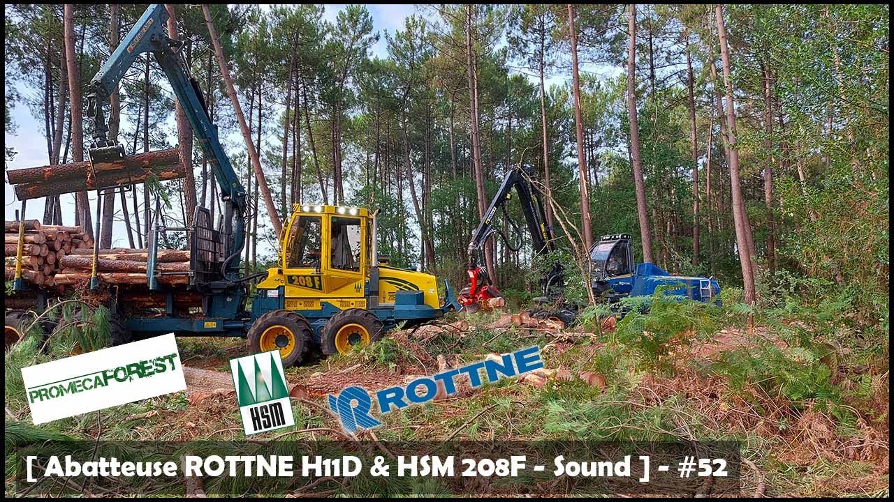 [ Abatteuse ROTTNE H11D & HSM 208F - Sound ] - #52