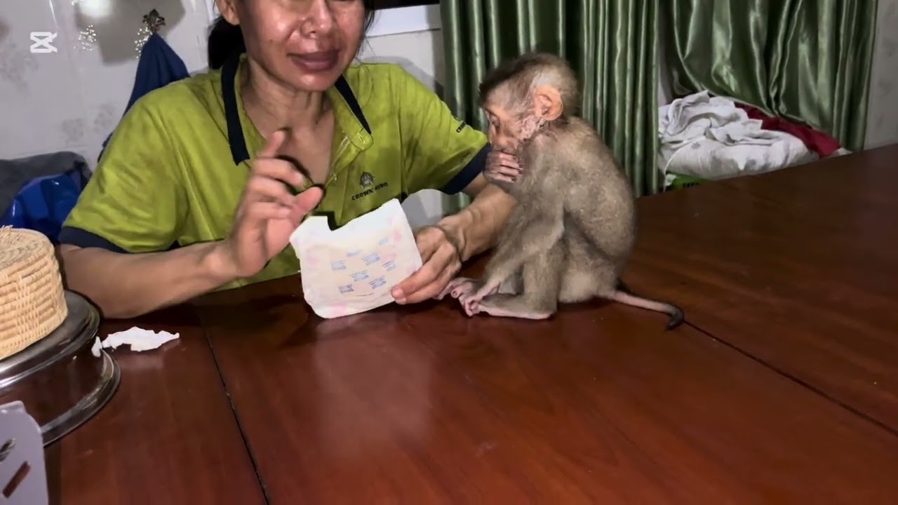 Mommy bring Mary to take a shower #animals #monkey #asmr