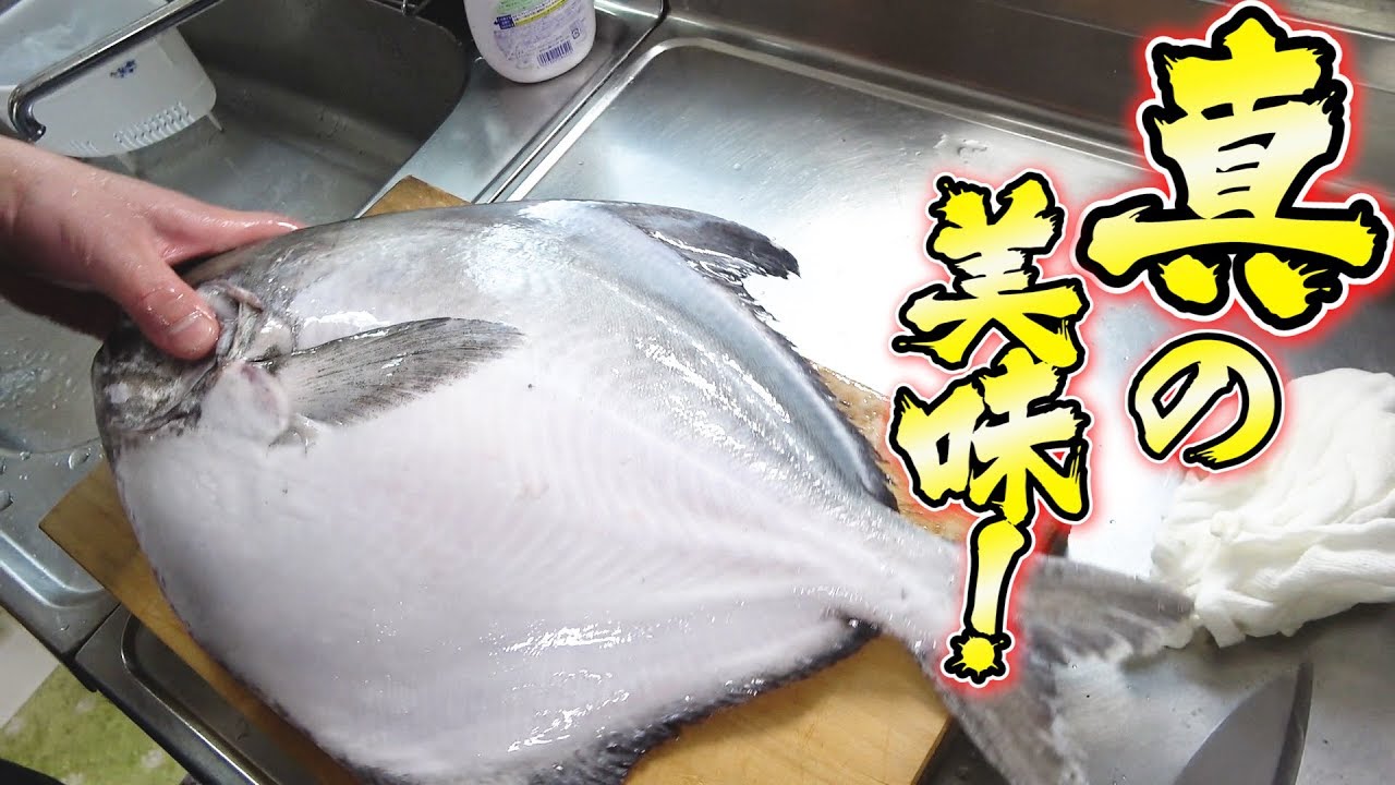 【超高級】小豆島の漁師さんから巨大魚が届きました！！