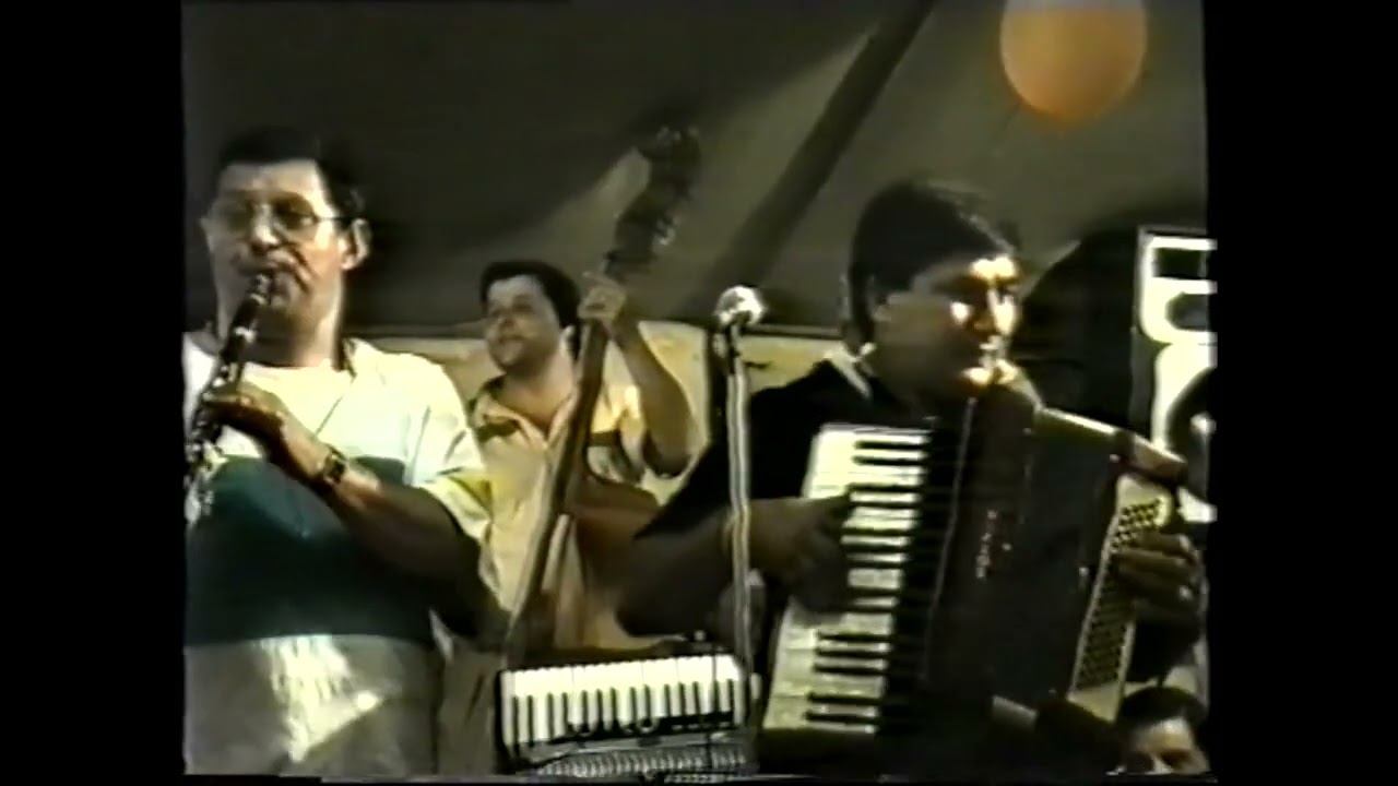 Stefan de la Barbulesti - Frunzulita Busuioc