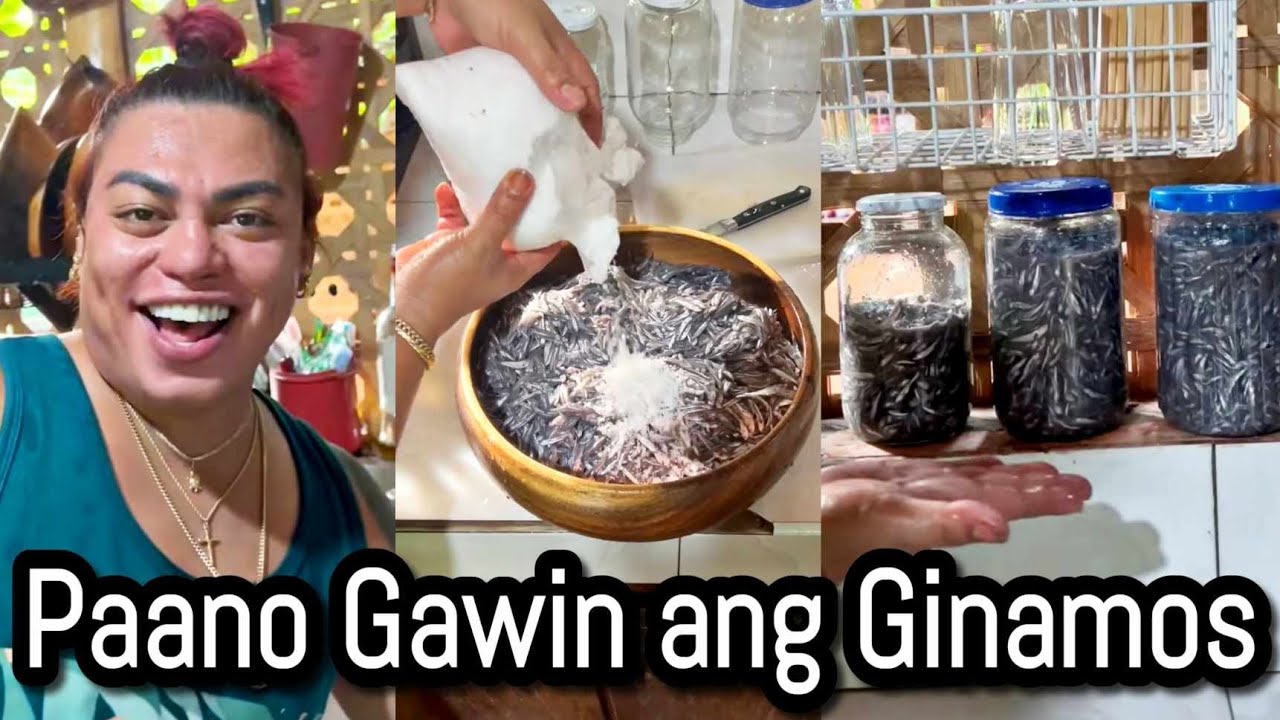 GINAMOS : paano gawin ang ginamos?