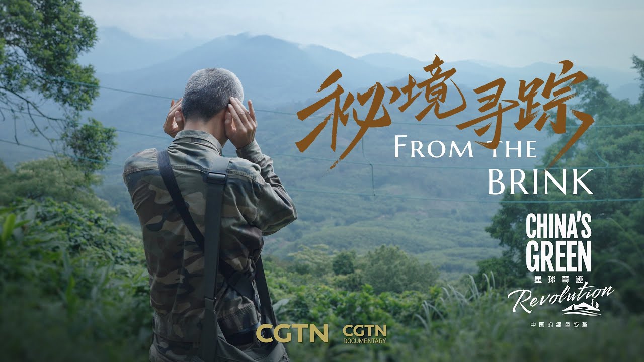 Decades of Searching for Vanishing Voices in the Jungle | CHINA'S GREEN REVOLUTION EP3