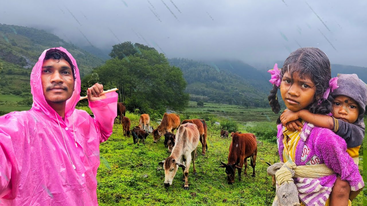 A Cow's Day in the Rain: A Unique Village Experience