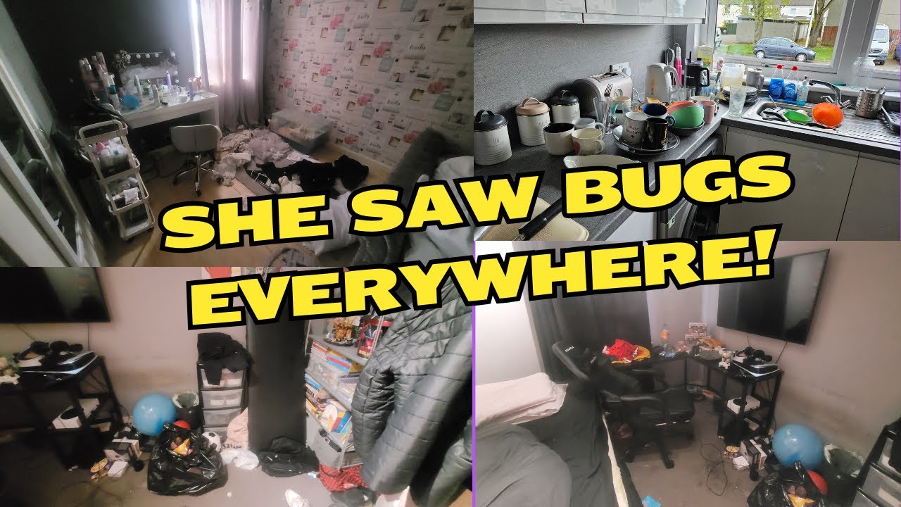 Helping a Mum with BPD and ASD Son: Whole House Free Clean