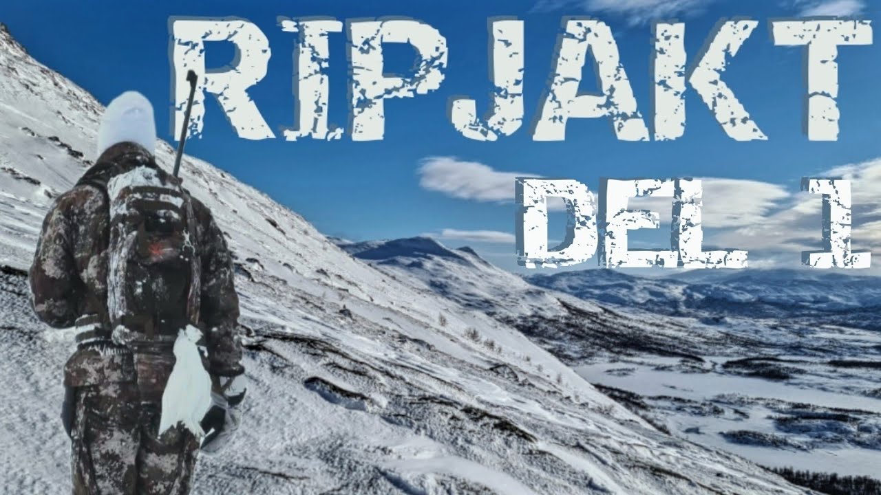DEL 1, RIPJAKT - Fjällen Knarrar