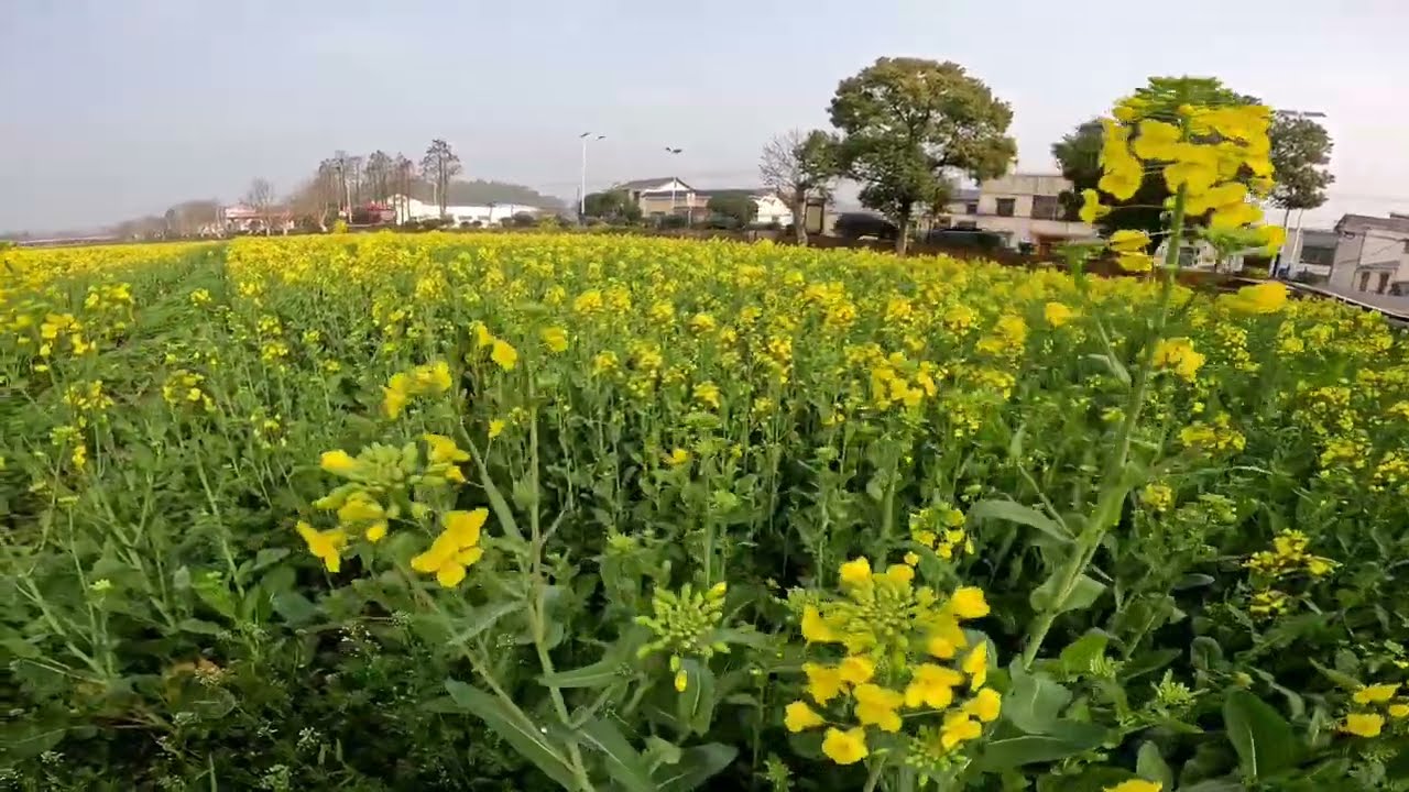 中国  湖南