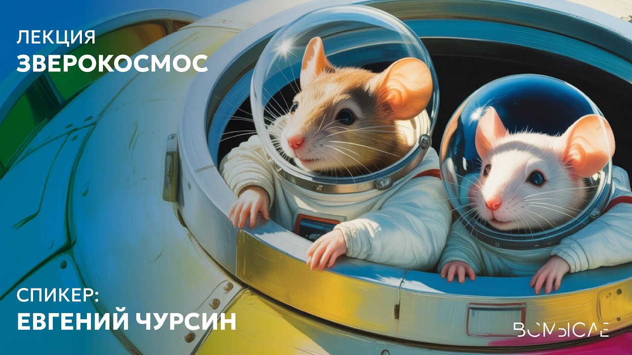 Зверокосмос. Евгений Чурсин
