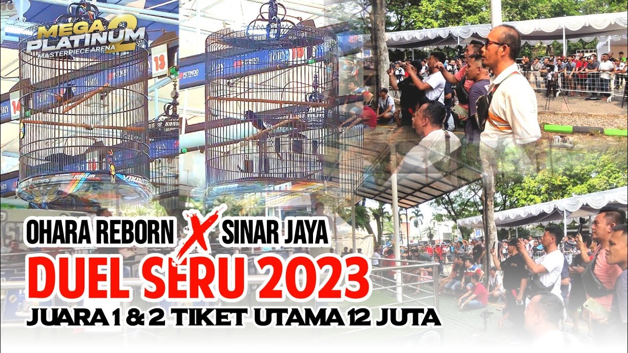 DUEL SERU 2023‼️OHARA REBORN X SINAR JAYA | Mega Platinum 2 Masterpiece Arena