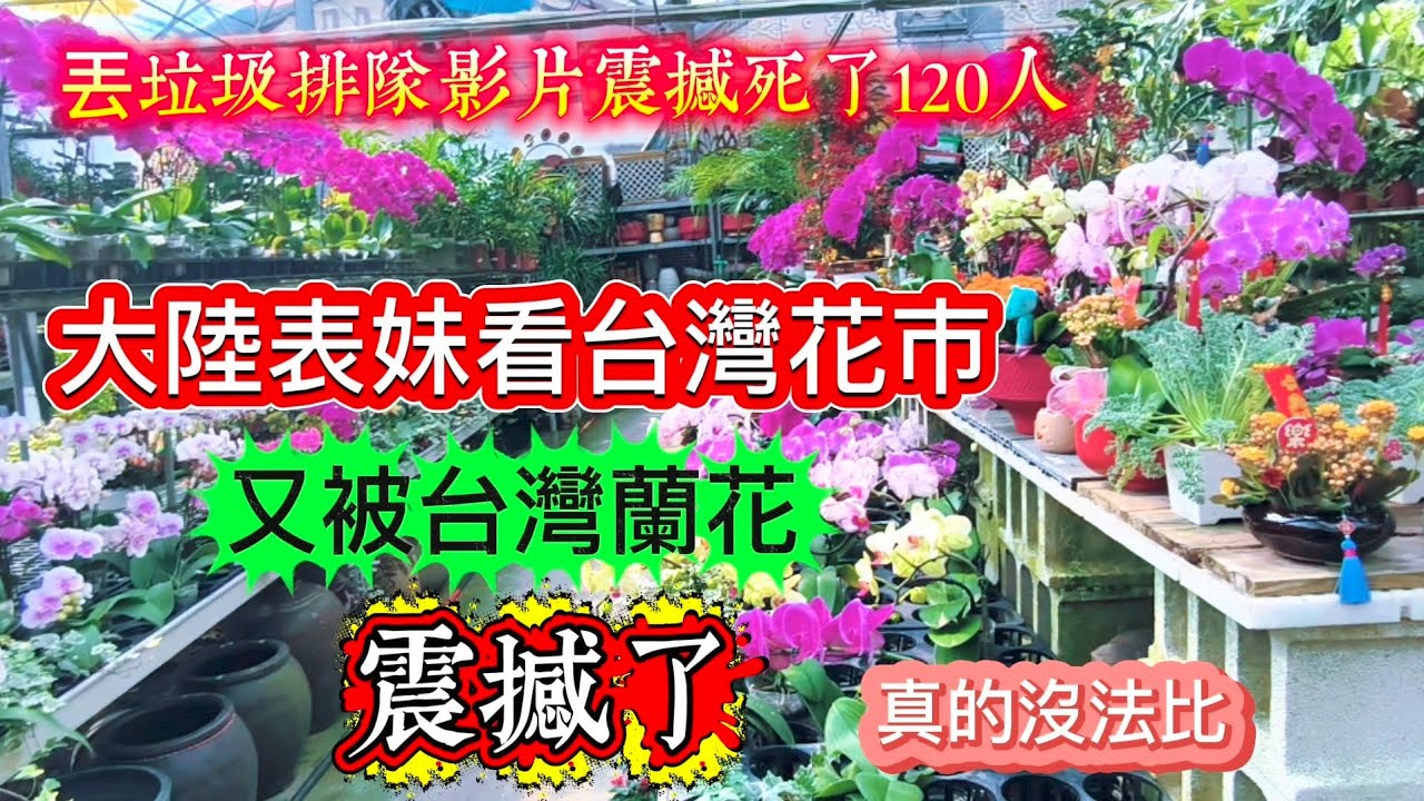 🇹🇼贏麻了💪台灣排隊丟垃圾影片大陸表妹狂發朋友圈火遍大江南北！今天表妹逛台灣花市又被震撼了❗