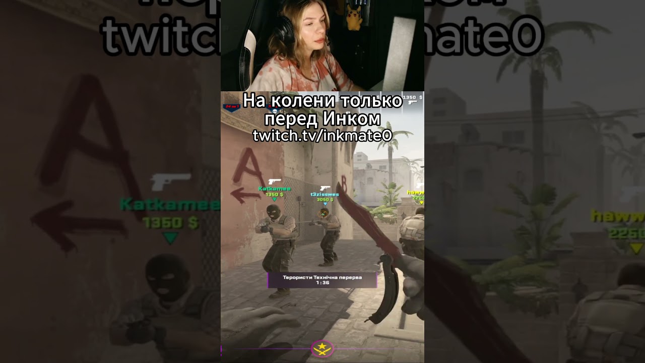 На колени только перед Инком #csgo #inkmate #zibert1715