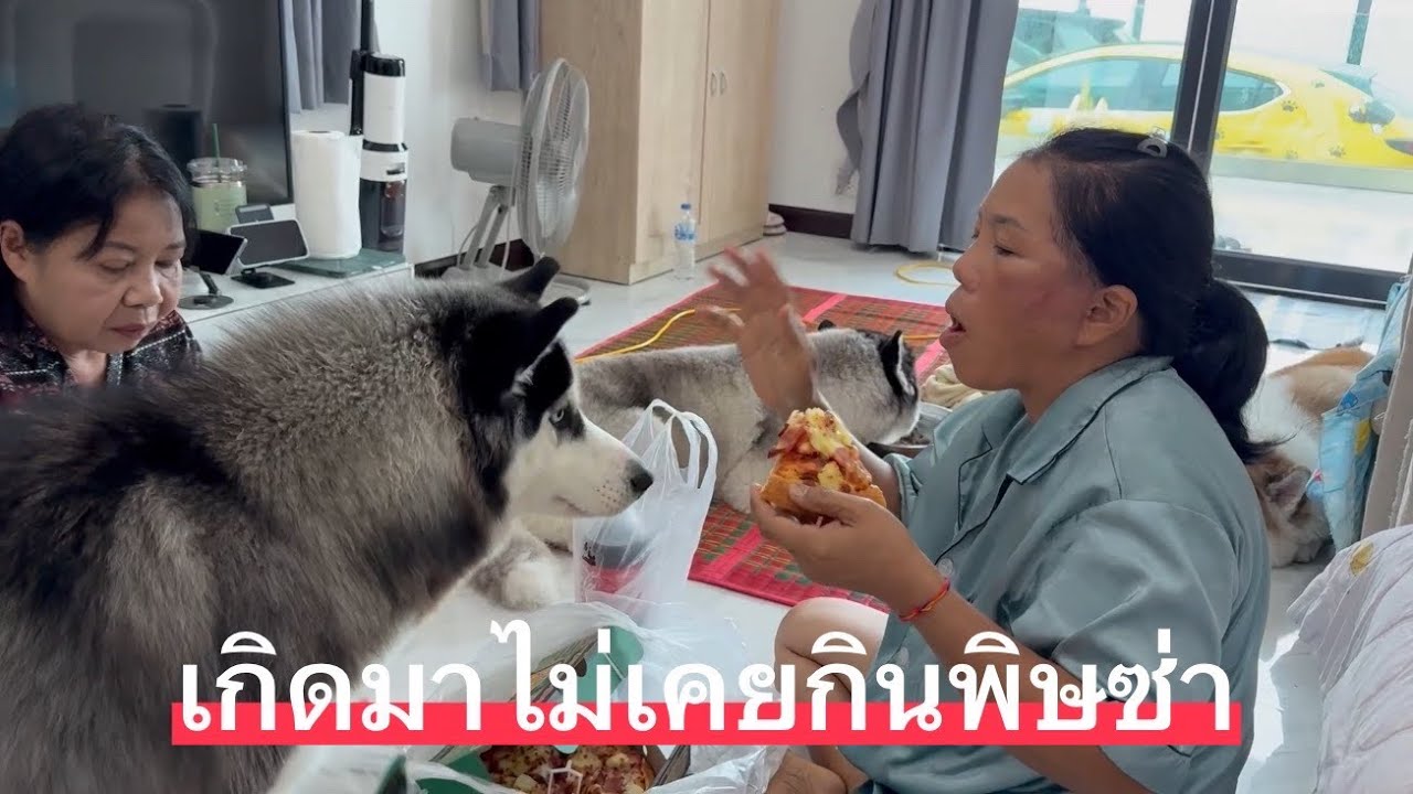 หมาบ้านนอกเกิดมาบ่เคยกินพิษซ่าตื่นเต้นสุดๆ