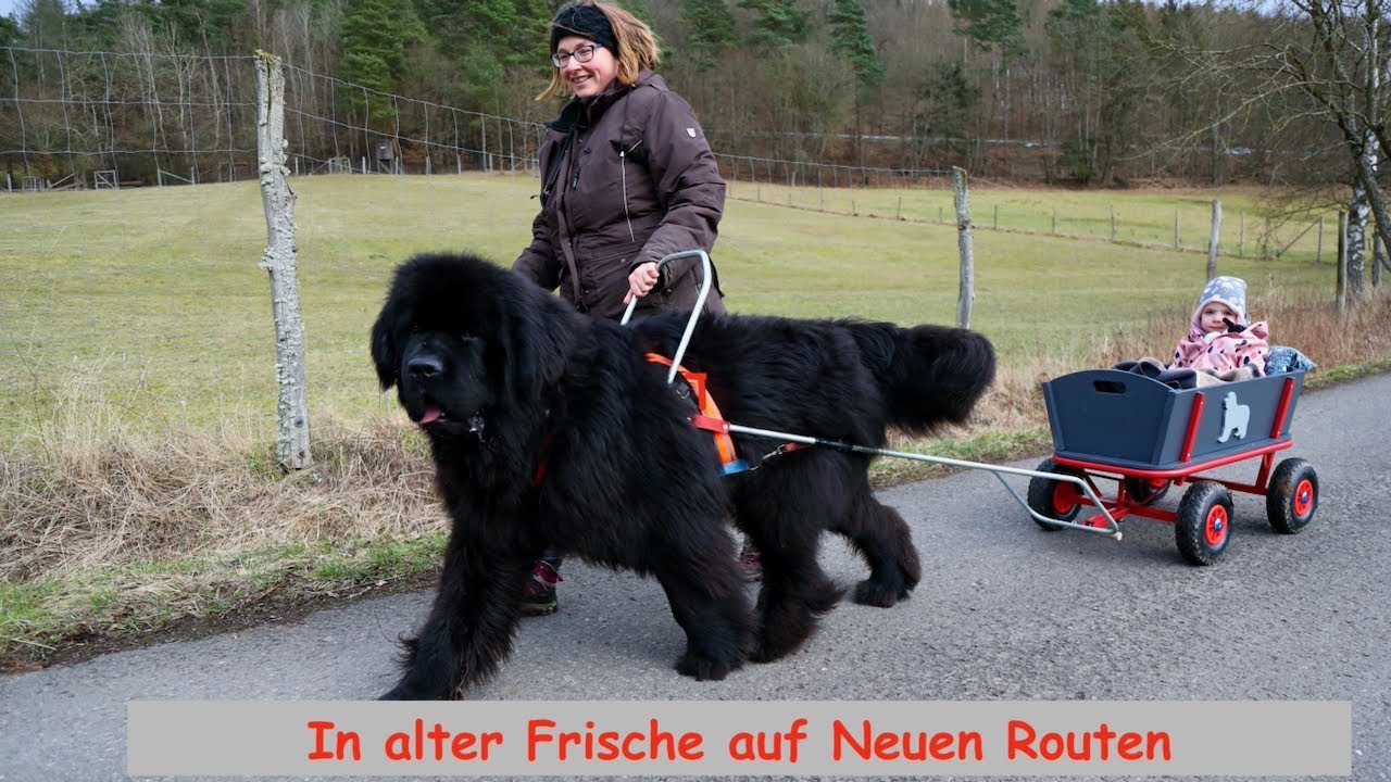 In alter Frische auf Neuen Routen