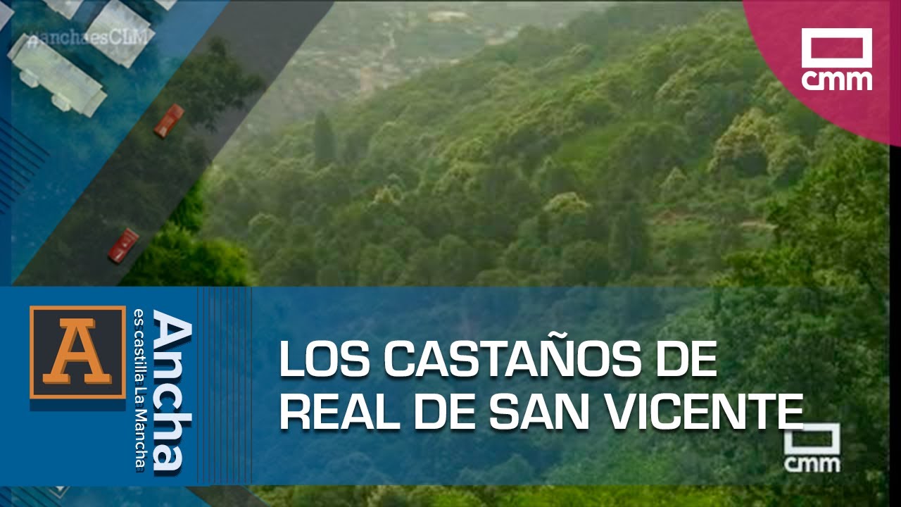 Visitamos los castaños del Real de San Vicente | Ancha es Castilla-La Mancha