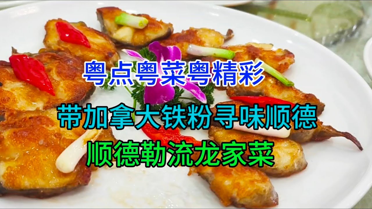 粤点粤菜粤精彩，带加拿大铁粉寻味顺德，顺德勒流龙家菜，粤语中字幕2024-3-24