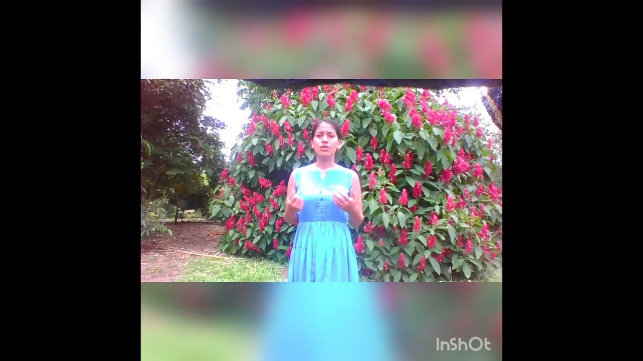 Riqueza Real Ruth Lucero