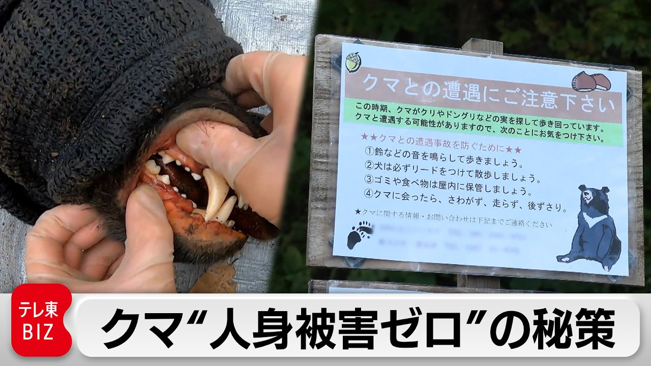 &ldquo;人とクマが棲み分ける境界線&rdquo;は無くなったのか？人と犬で追い払うプロ集団に密着【ガイアの夜明け】