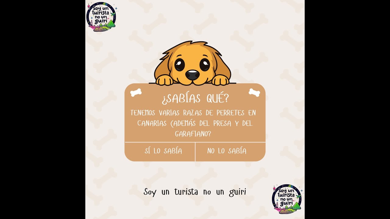 Resumen Razas de perros de Canarias Canary dogs breeds (subtitled)