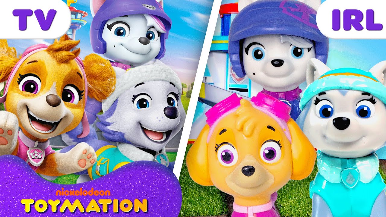 Best PAW Patrol Rescue Missions with Skye, Roxi, & Everest! 🚁 | 30 Minutes | Toymation