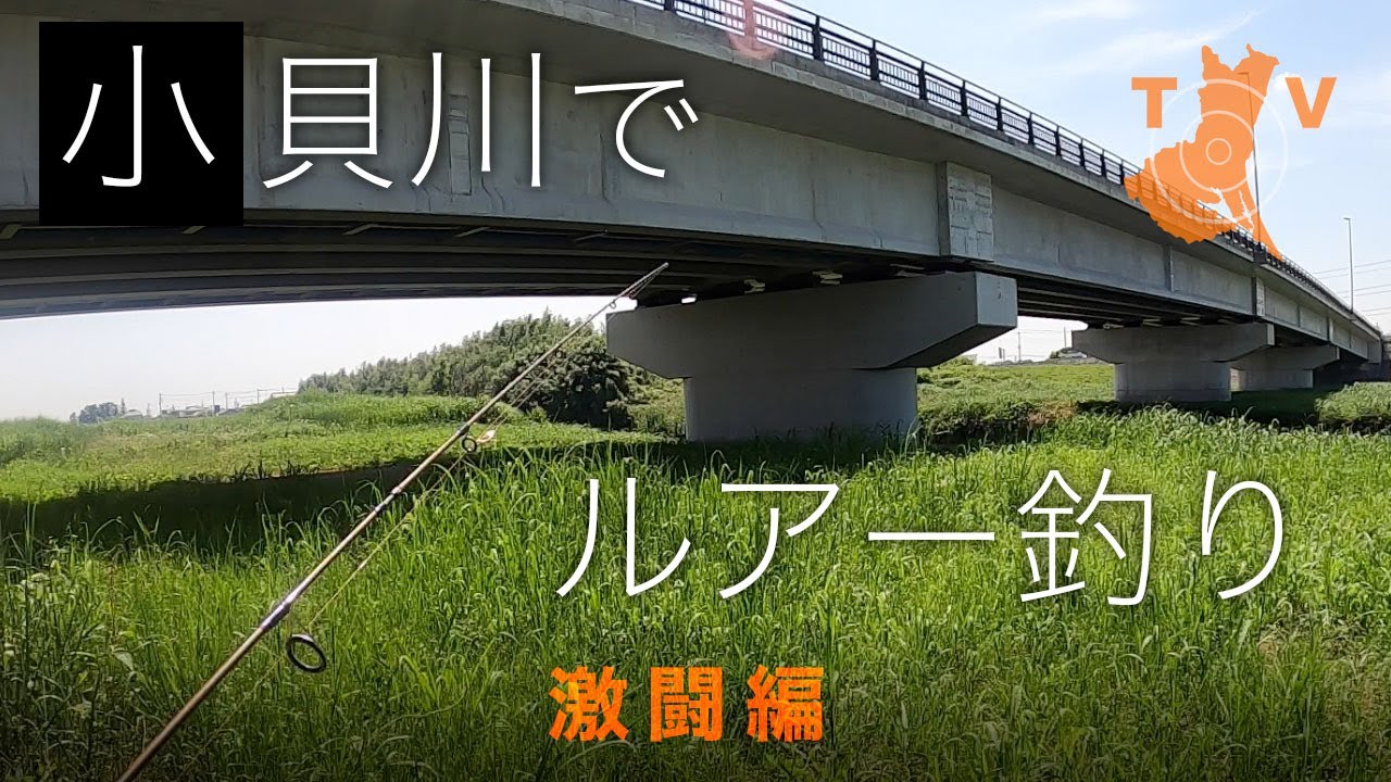 小貝川でルアー釣り：TVイバラキ