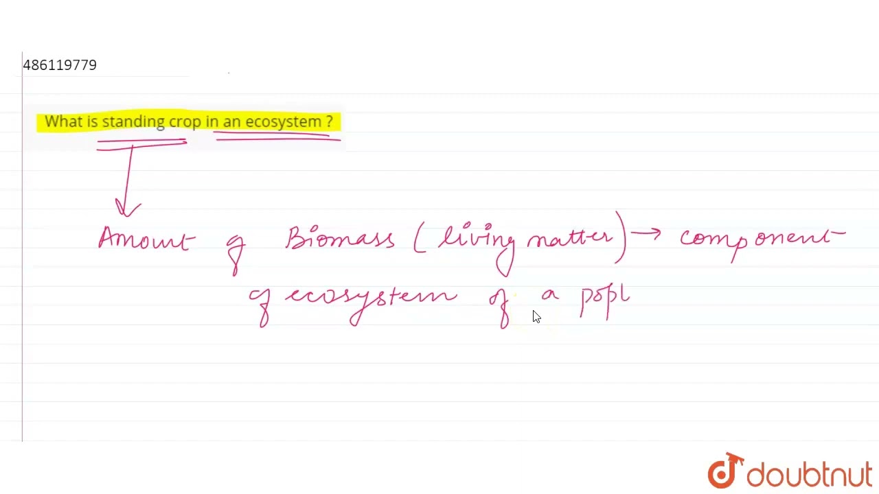 What is standing crop in an ecosystem ?  | CLASS 12 | ECOSYSTEM  | BIOLOGY | Doubtnut