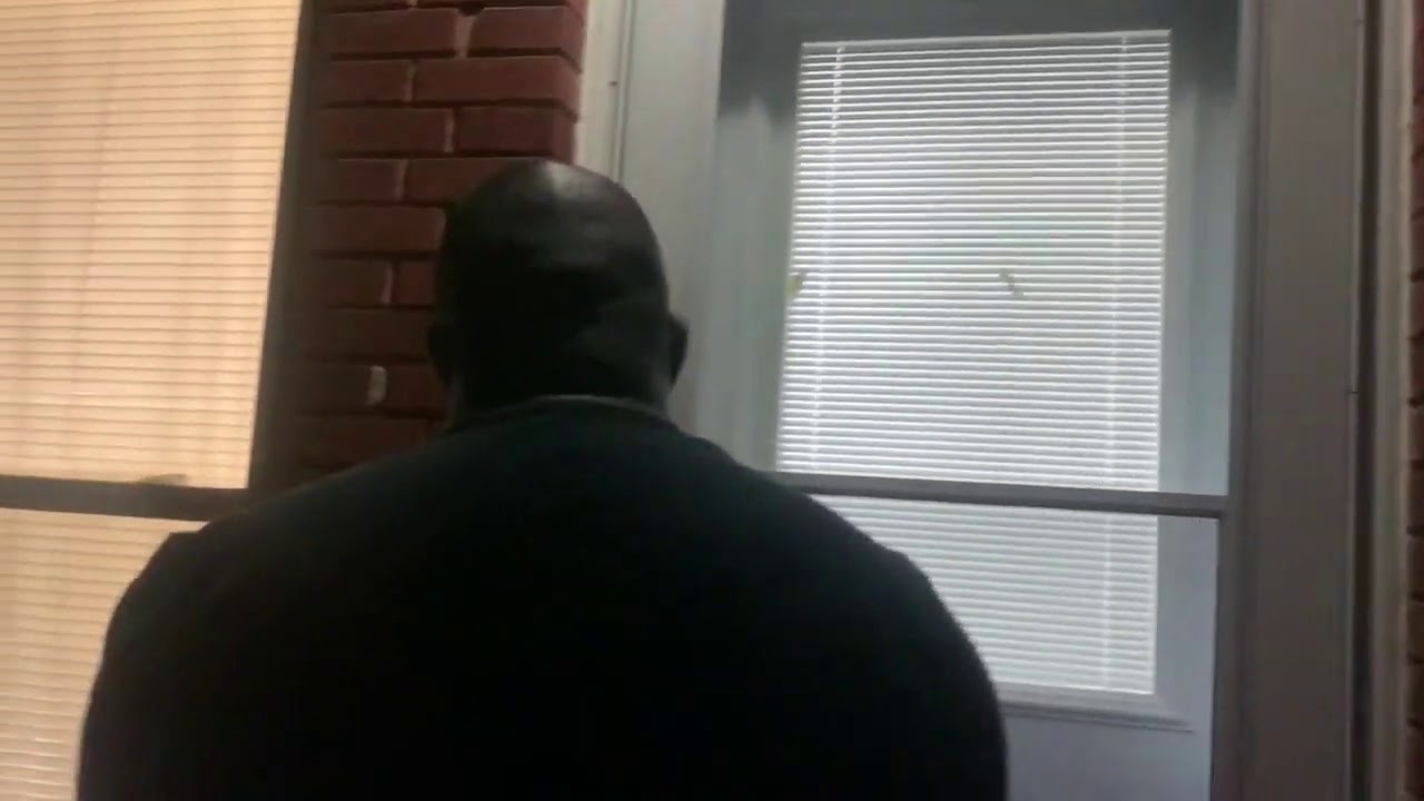 Windows of Hope S2 EP1: Shiloh’s back