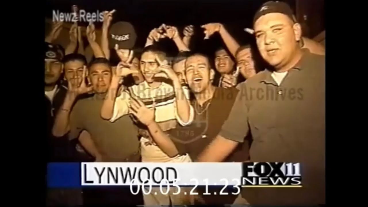Fox 11 News Undercover - Rebels (1996)
