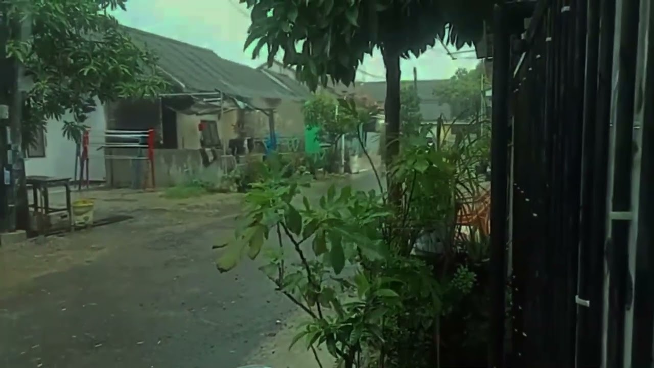 Powerful Soundscape of Heavy Rain on Leaves for Deep Sleep & Anxiety Relief | Relax, Focus, Study