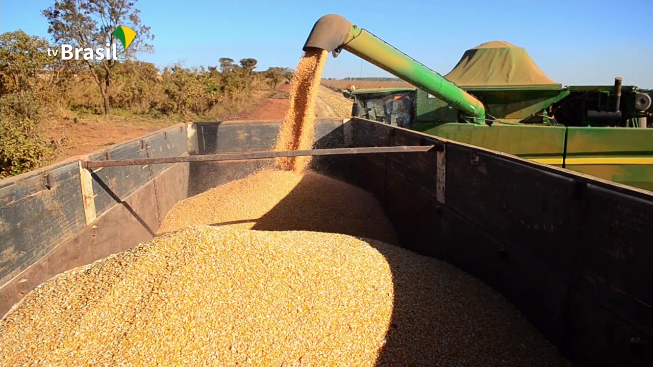 Governo retoma a parte final das obras da BR-163 no Pará