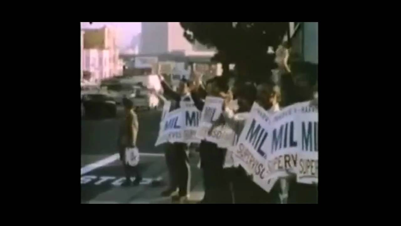 Activism in History
