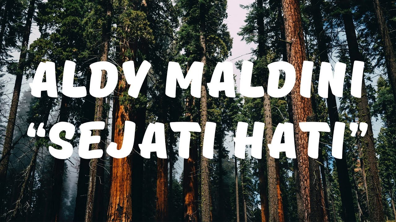 Aldy Maldini - Sejati Hati (Lirik)