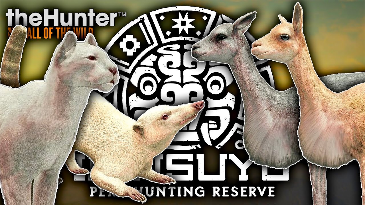 EVEN MORE INTISUYU TROPHIES! RARE VICUNA, NEW DIAMONDS, AND AN ALBINO COATI IN CALL OF THE WILD!